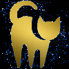 cat gold blue