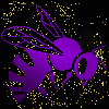 bee purple