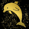 dolphin gold 