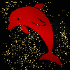 Dolphin red gold