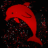 Dolphin red red