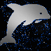 dolphin silver blue