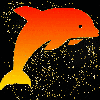 dolphin sunset gold