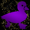 duck purple gold