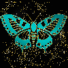 Butterfly teal 