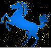 horse blue gold