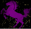 horse purple gold
