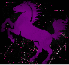 horse purple pink