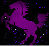 horse purple purple