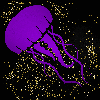 jellyfish purple gold