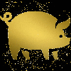 pig gold