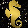 seahorse gold gold
