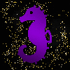 seahorse purple gold