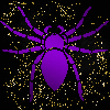 spider purple gold