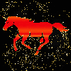 Unicorn orange swift gold