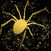  spider gold gold