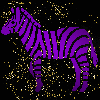zebra purple gold