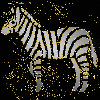 zebra silver gold