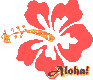 Aloha!