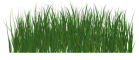 Grass divider