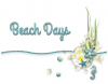 Beach Days, OCEAN, WATER, TEXT, SUMMER