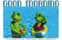 GOOD MORNING, FROGS, ANIMALS, GREETINGS