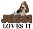 JESSI LOVES IT, BASSET HOUND, ANIMALS, TEXT