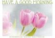 HAVE A GOOD MORNING, TULIPS, GREETINGS, TEXT