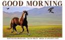 GOOD MORNING, HORSES, ANIMALS, TEXT, GREETINGS