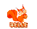 FallSquirrel~Belle