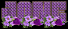 Purple flowers with strawberries - Jane