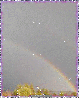Double Rainbow ~ Background  ~ fg