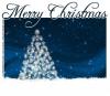 Merry Christmas, TREE, HOLIDAYS, CHRISTMAS, TEXT