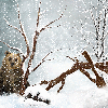 Winter Snowflakes ~ Background ~ fg