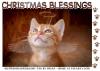 CHRISTMAS BLESSINGS, HOLIDAYS, WINGS, KITTEN, TEXT