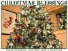 CHRISTMAS BLESSINGS, HOLIDAYS, TREE, TEXT