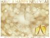HAVE  HAPPY NEW YEAR, CHMPAGNE, CLOCK, TEXT