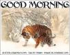 GOOD MORNING, ANIMALS, TIGER, SNOW, TEXT
