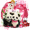 Panda Bear Valentine/Marilyn