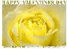 HAPPY VALENTINES DAY, YELLOW ROSE, TEXT