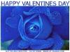 HAPPY VALENTINES DAY, BLUE ROSE, TEXT