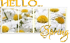 HELLO.. SPRING, SEASONAL, FLOWERS, TEXT
