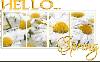 HELLO.. SPRING, SEASONAL, FLOWERS, TEXT