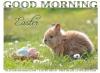 GOOD MORNING EASTER, BUNNY, HOLIDAYS, TEXT