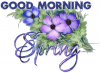 GOOD MORNING SPRING, SEASONAL, FLOWERS, TEXT