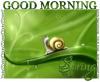 GOOD MORNING SPRING, FLOWERS, SNAIL, CUTE, TEXT