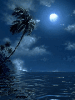 moon in night