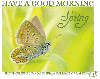 HAVE A GOOD MORNING.. SPRING, ANIMALS, BUTTERFLY, TEXT