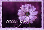 miss you, FLOWER, PURPLE, TEXT