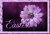 EASTER, FLOWER, PURPLE, TEXT